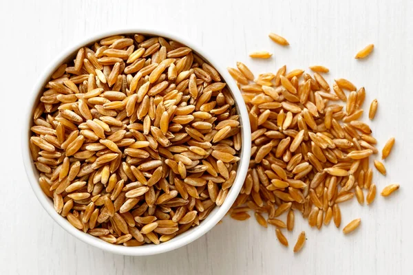 Kamut wheat kernels — Stock Photo, Image