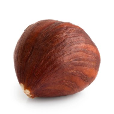 Beyaz tenli tek bir fındık. Yakın çekim..