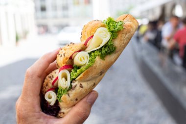 Male hand holding cheese and salad crispy whole wheat baguette. 