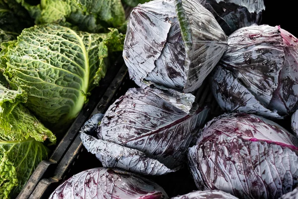 Choux rouges et frisés entiers au marché d'en haut. Contexte . — Photo