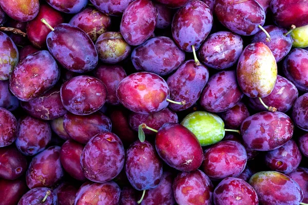 Background of fresh damson plums with stalks. — Stockfoto