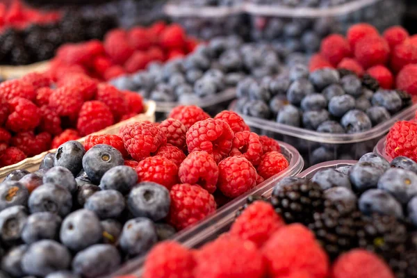 Frische Waldhimbeeren, Blaubeeren und Brombeeren in Plasti — Stockfoto