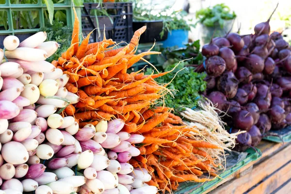 Oignons rouges de printemps au marché à côté des carottes et des betteraves . — Photo