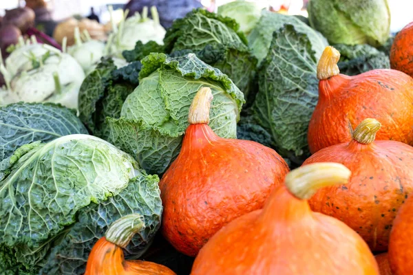 Citrouille Hokkaido à côté du chou frisé au marché . — Photo