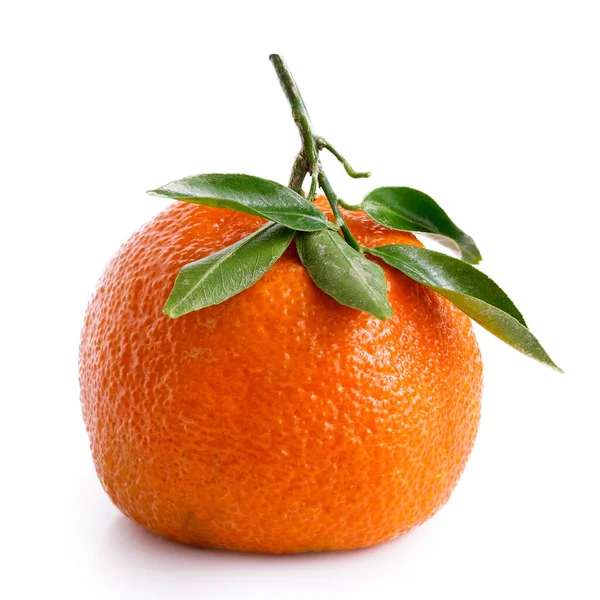 Eine einzige ganze Mandarine mit einem Stiel und Blättern isoliert auf weiß — Stockfoto