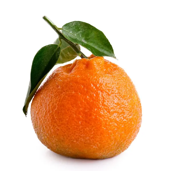 Uma única mandarina inteira com um caule e folhas isoladas em branco — Fotografia de Stock