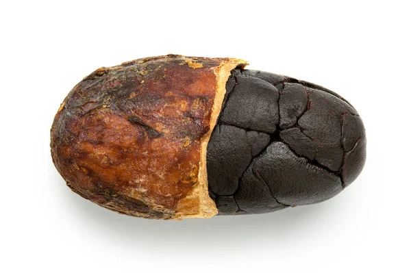 Один жареный полуочищенный какао-боб, изолированный на белом . — стоковое фото