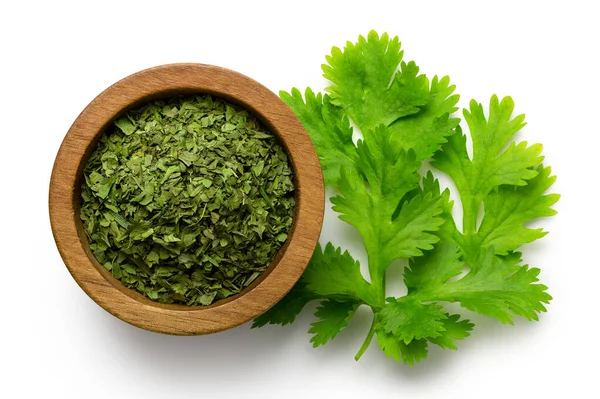 Dried chopped coriander leaves in a dark wood bowl next to fresh — Stock Photo, Image