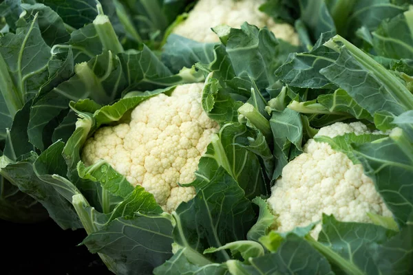 Cabezas de coliflor frescas con hojas en el mercado de agricultores . — Foto de Stock