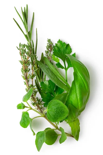 Bundle of freshly picked provence herbs isolated on white from a — Stock Photo, Image