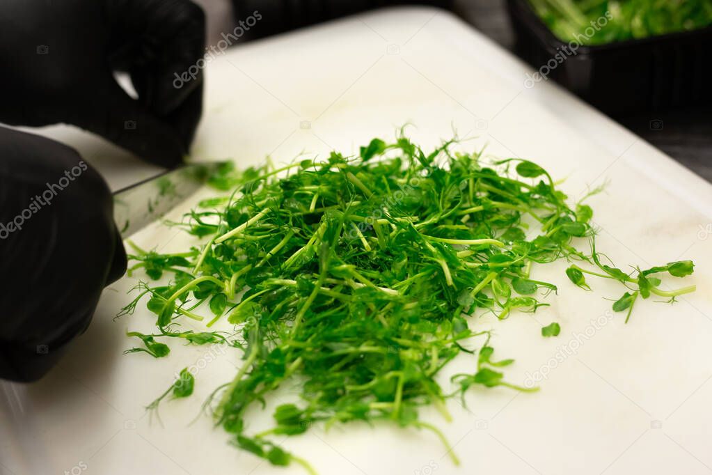 Gloved hands cutting green pea sprouts with knife on white plast