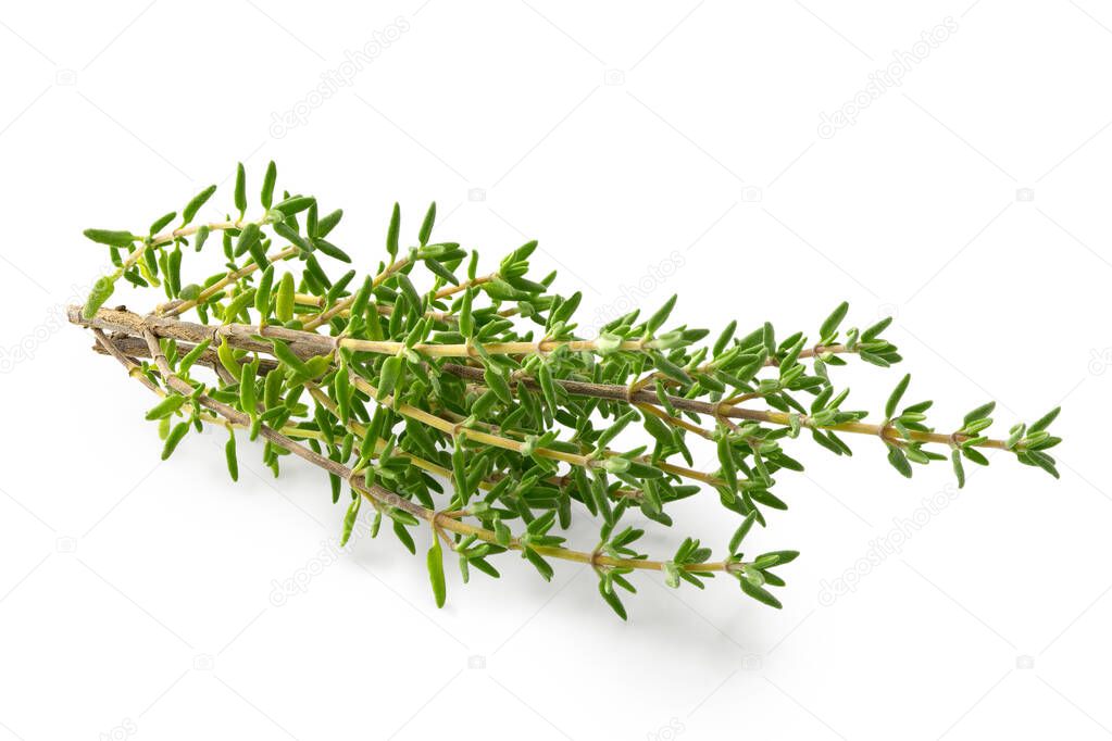 Fresh thyme sprigs isolated on white.