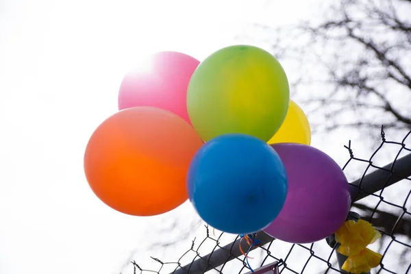 Colorful Balloons Chain Link Fence — Stock Photo, Image