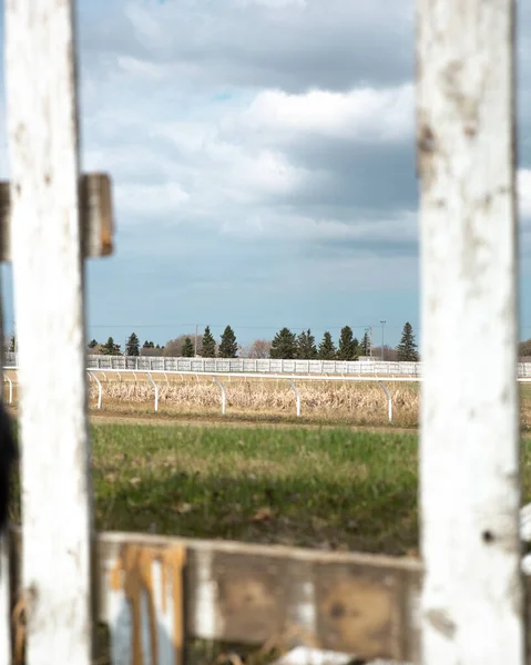 从篱笆上的一个孔往田野里看 — 图库照片