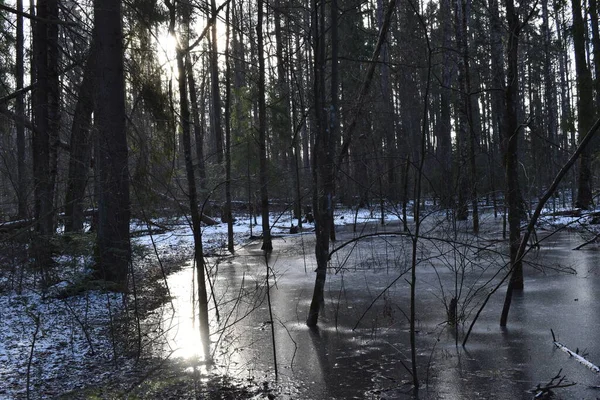 Bahar sabahında gün doğumu