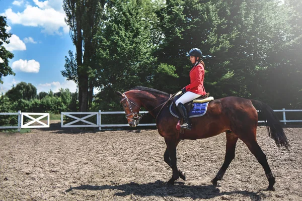 Młoda dziewczyna całkiem Jockey przygotowuje konia do jazdy. konie miłosne. Dziewczyna jedzie na konia — Zdjęcie stockowe