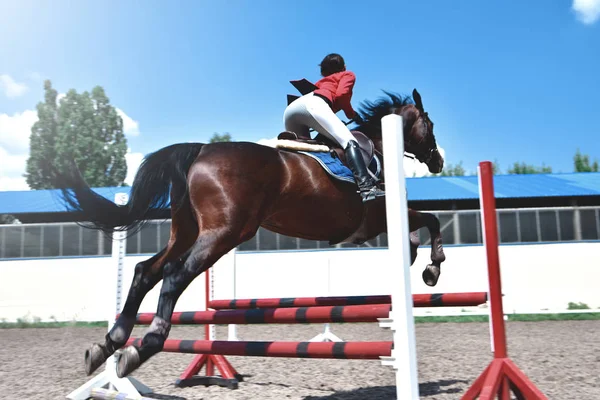 Młody żeński Jockey na koń skaczący przez przeszkodę. Jeździectwo — Zdjęcie stockowe