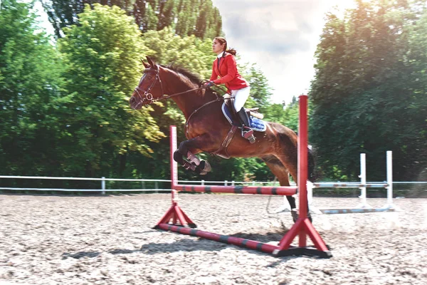 Young female jockey on horse leaping over hurdle. equestrian