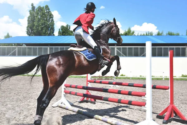 Młody żeński Jockey na koń skaczący przez przeszkodę. Jeździectwo — Zdjęcie stockowe