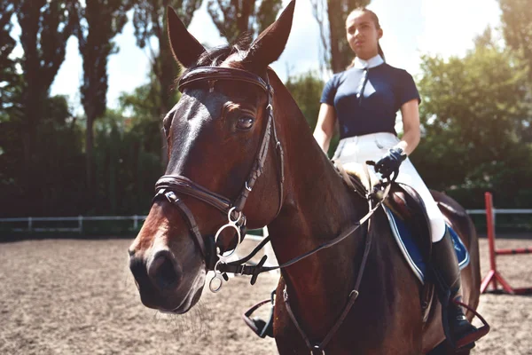 Portret Jockey dziewczyna obok koni, jazda konna, pojęcie reklamy klubu jeździeckiego, przygotowanie do skoków. Letnich. Tonowanie. — Zdjęcie stockowe