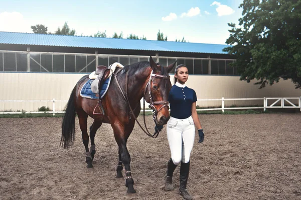 Młoda dziewczyna prowadzi konia do treningu i przygotowuje go do wyścigów Hippodrome — Zdjęcie stockowe