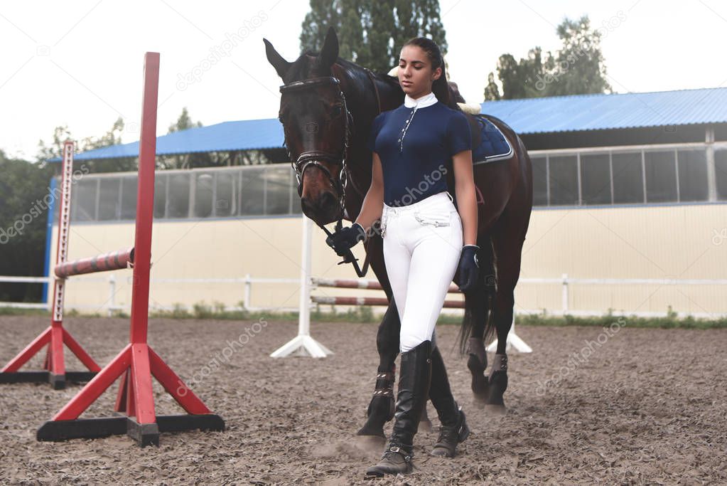 Young woman leads her horse to training and preparing it for the hippodrome races