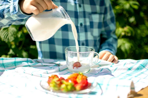 Primer plano, en una mesa de madera cubierta con un mantel blanco de cuadros verdes, un niño con una camisa de cuadros azules vierte crema de una jarra de vidrio en una taza transparente que contiene fresas — Foto de Stock