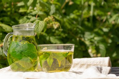 Beyaz masa örtüsüyle kaplı eski ahşap bir masada şeffaf bir sürahi ve bir fincan yeşil çay, kuşüzümü ve nane yaprağı var.