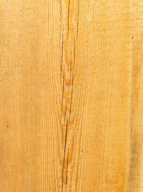 Yakın plan, çam ağacı deseni, dikey fotoğraf, kopyalama alanı.