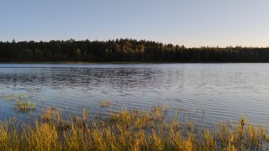 Nehirde gün batımı, ormanın yetiştiği sarp kıyıdan manzara..