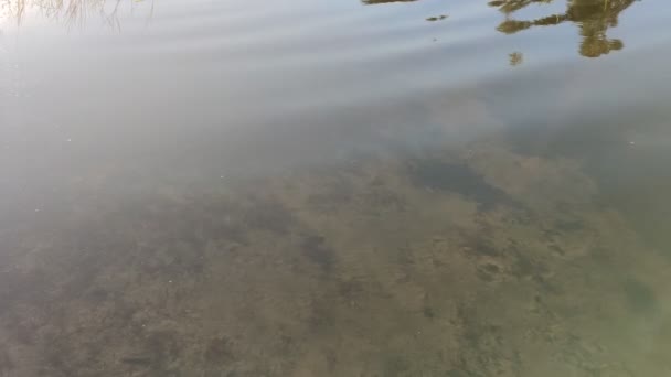 Primer plano de círculos divergentes en el agua del río. — Vídeos de Stock