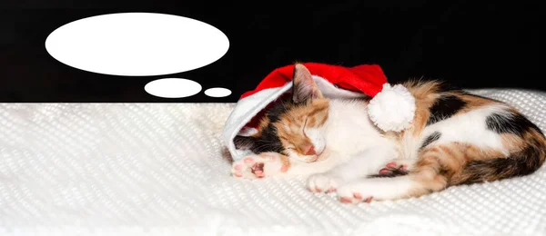 Kotě v klobouku Santa Clause leží na bílé přikrývce na tmavém pozadí. Slavnostní koncept Nového roku. Roztomilý mazlíček spí na Štědrý večer.Pozadí s kopírovacím prostorem. — Stock fotografie