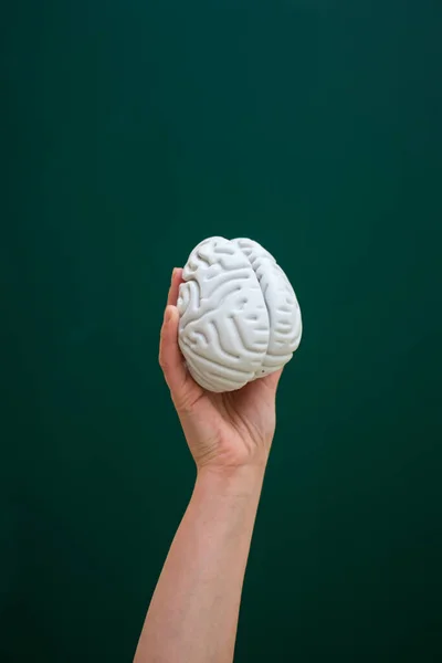 Dikey yeşil arka planda, bir el oyuncak beyni tutar..