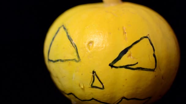 Gritos de calabaza, Ilustración sobre fondo amarillo. Fondo naranja. — Vídeo de stock