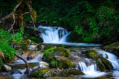 Schliersee 'deki Josefstaler Şelalesi, Almanya, Bavyera. Uzun Aktarma