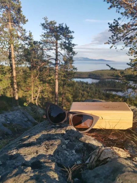 Glasses in the woods overlooking the Bay on a Sunny day
