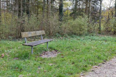 Sonbaharda yeşil bir çayırda bir bank. Gündüzleri bulutlu bir ormanın önünde.