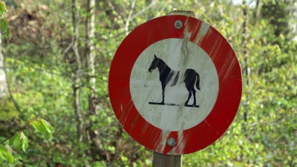  silně znečištěný a poškrábaný zákaz koní, jízda na zakázaném znamení, v pozadí zelený les, ve dne bez lidí