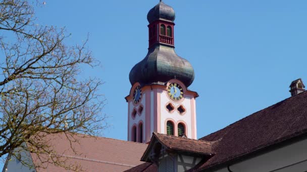 Beautiful Antique Pink Church Tower Baroque Rococo Style Brown Red — Stock Video