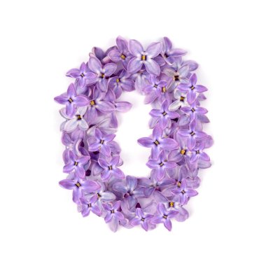 Çiçek yok. İzole bir arkaplanda kompozisyon. en üstteki görünüm