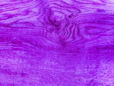 Mor Ahşap Doku Arkaplanı - Yüksek Çözünürlüklü Dijital Arkaplan Tasarımı, Yaratıcı Projeler ve Şık Estetik