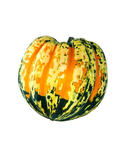 Singola Zucca Colorata Isolata Sfondo Bianco — Foto Stock