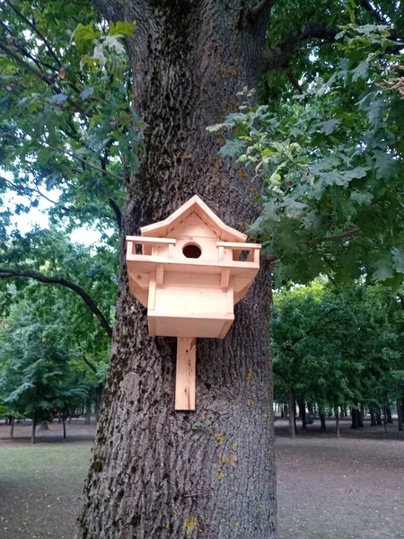 Bela Casa Pássaros Uma Árvore Birdhouse Parque — Fotografia de Stock