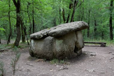 Dolmen Shapsug 'da. Shapsugskaya köyü yakınlarındaki şehirde orman, antik medeniyetin kalıntıları ve dolmenleri..