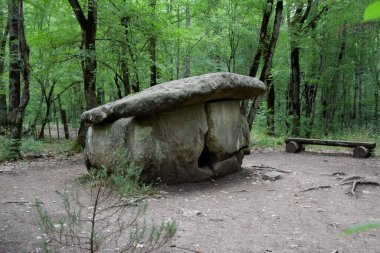 Dolmen Shapsug 'da. Shapsugskaya köyü yakınlarındaki şehirde orman, antik medeniyetin kalıntıları ve dolmenleri..