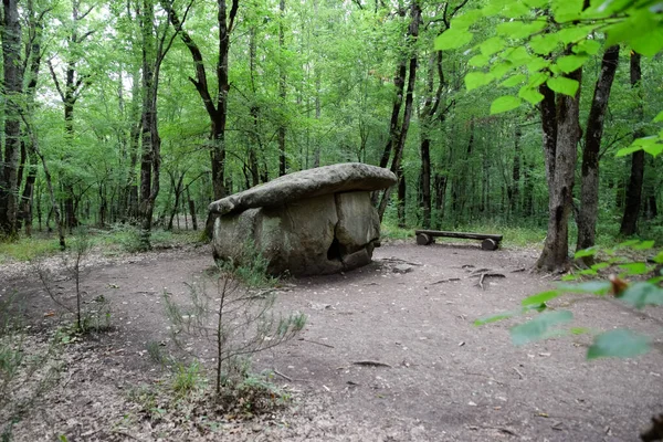 Dolmen Shapsug Bosque Ciudad Cerca Aldea Shapsugskaya Los Lugares Interés — Foto de Stock