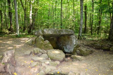 Dolmen Shapsug 'da. Shapsugskaya köyü yakınlarındaki şehirde orman, antik medeniyetin kalıntıları ve dolmenleri..