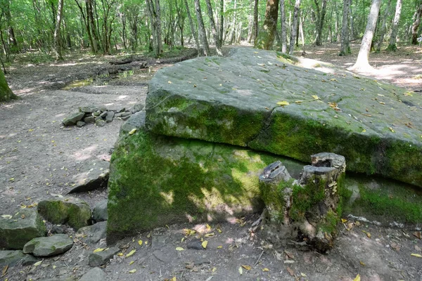 Dolmen Shapsug Bosque Ciudad Cerca Aldea Shapsugskaya Los Lugares Interés — Foto de Stock