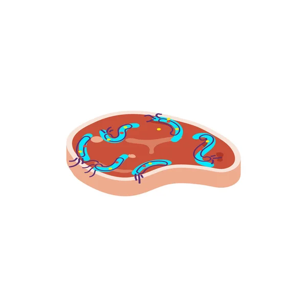 Carne con salmonela. Dibujos animados vector ilustración — Vector de stock