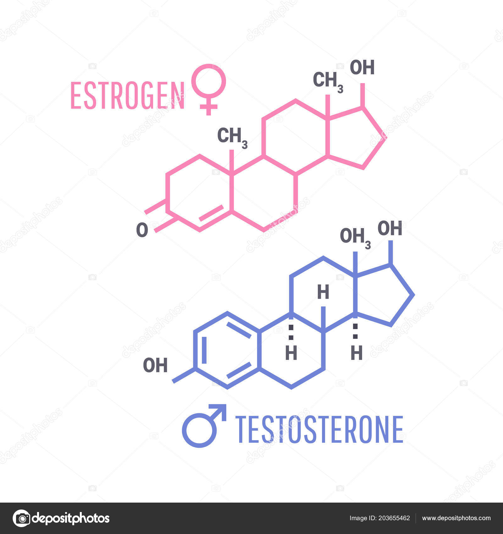 Estrogen i seks